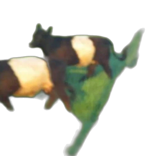 animal, dragon, creature, food transparent PNG cut-out