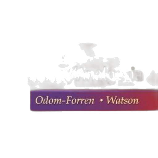 weapon, cover, practical, guide transparent PNG cut-out