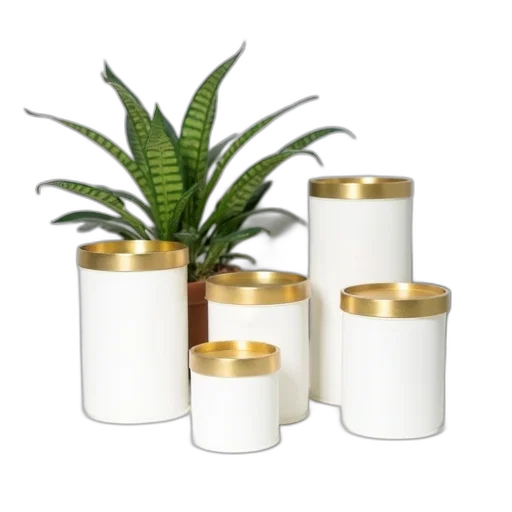 3d render, golden, earth tones, collection transparent PNG cut-out