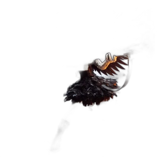 dragon, hair, crown, animal transparent PNG cut-out