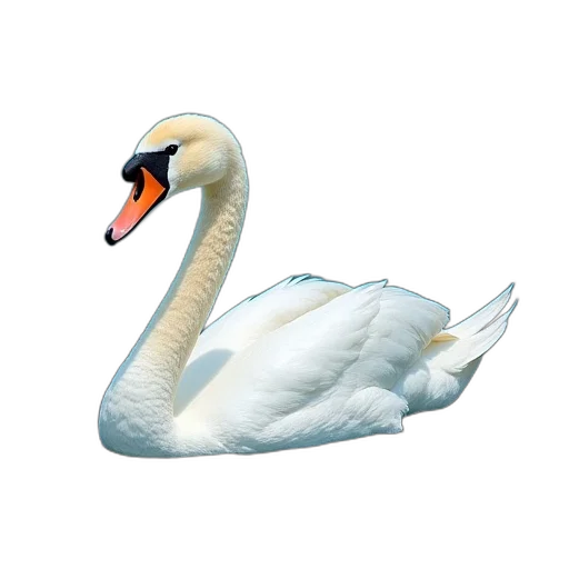 animal, creature, jewelry, crown transparent PNG cut-out