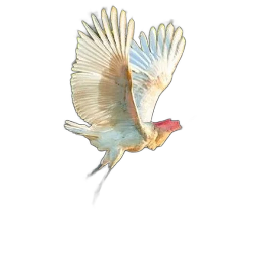animal, creature, staff, dragon transparent PNG cut-out