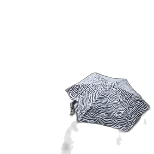 umbrella, hat, jacket, dress transparent PNG cut-out