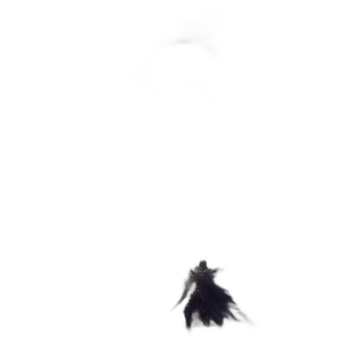 dragon, creature, animal, hair transparent PNG cut-out