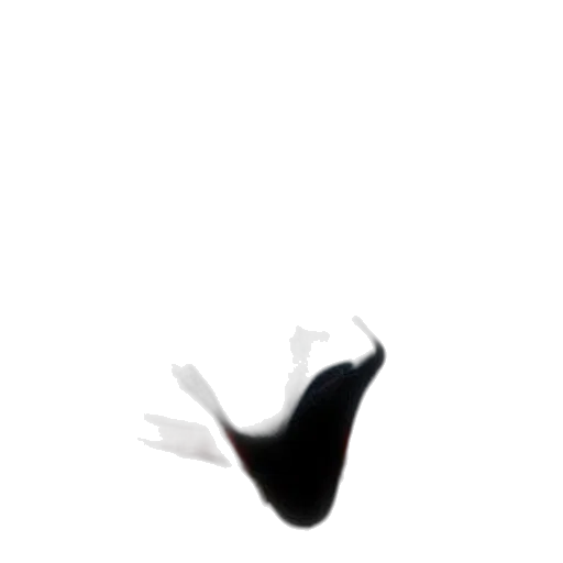 shoes, hat, hair, crown transparent PNG cut-out
