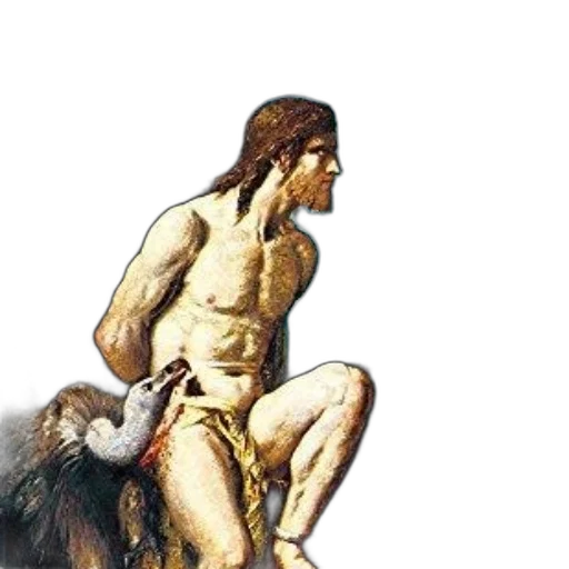 animal, staff, creature, hair transparent PNG cut-out