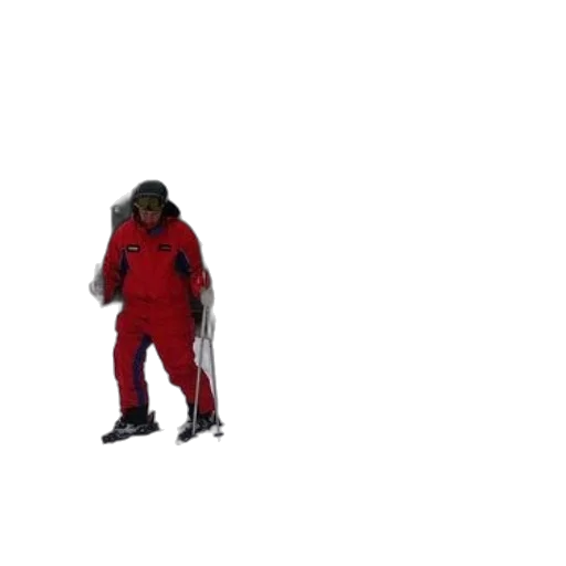 jacket, creature, staff, animal transparent PNG cut-out