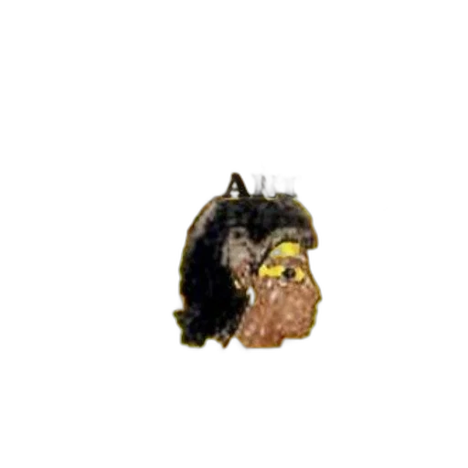 animal, hair, creature, crown transparent PNG cut-out