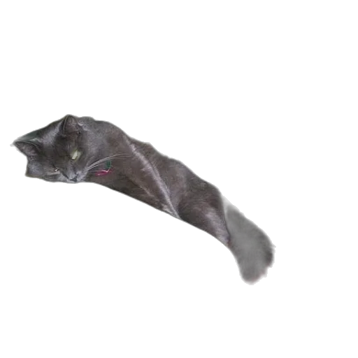 animal, creature, dragon, staff transparent PNG cut-out
