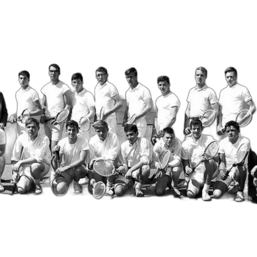 staff, black, white, photo transparent PNG cut-out