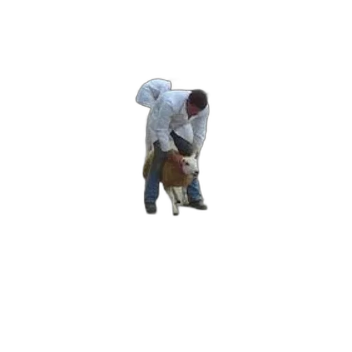 staff, food, jacket, animal transparent PNG cut-out