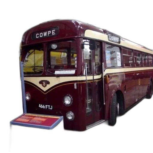 red, bus, word, cowpe transparent PNG cut-out