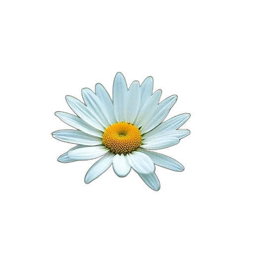 flower, jewelry, crown, staff transparent PNG cut-out