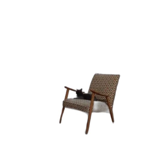 furniture, animal, dress, staff transparent PNG cut-out
