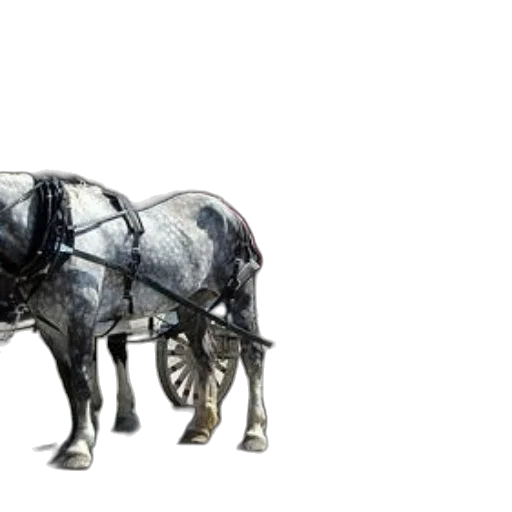 animal, car, 3d render, photorealistic transparent PNG cut-out