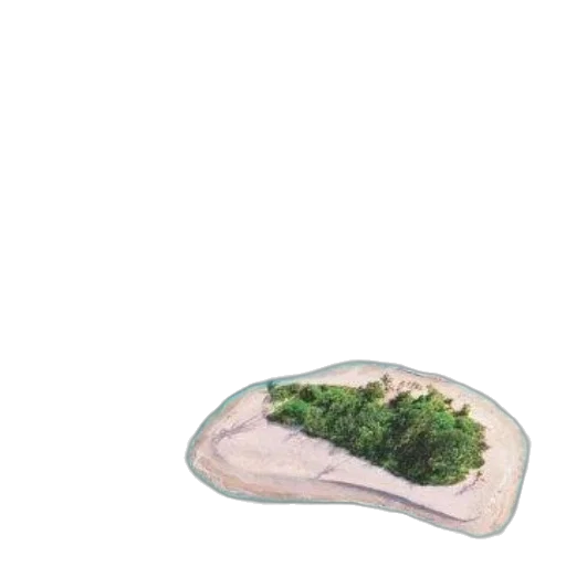 hat, tree, crown, food transparent PNG cut-out