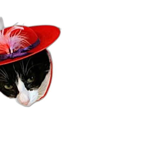 hat, animal, crown, mask transparent PNG cut-out