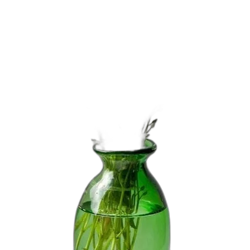 bottle, dress, jewelry, 3d render transparent PNG cut-out