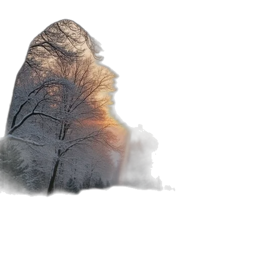 hair, tree, hat, sword transparent PNG cut-out