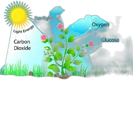 concept art, fog, diagram, illustrating transparent PNG cut-out