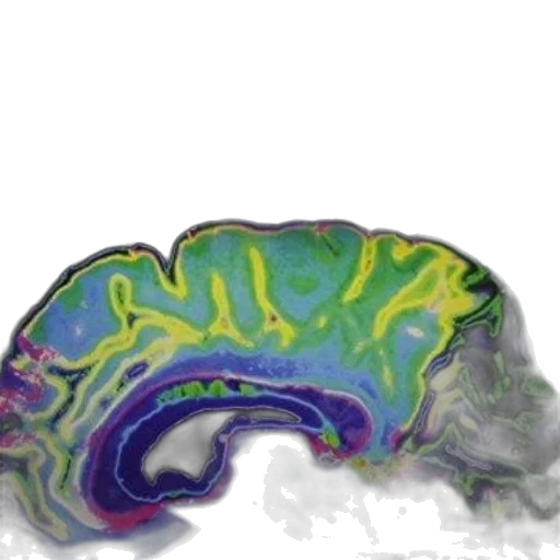 crown, face, image, features transparent PNG cut-out