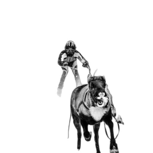 animal, creature, concept art, comic book art transparent PNG cut-out