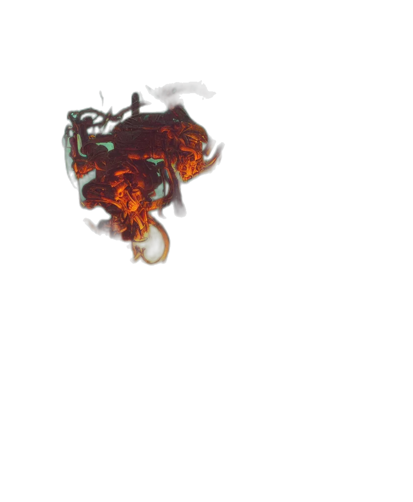 animal, dragon, crown, creature transparent PNG cut-out