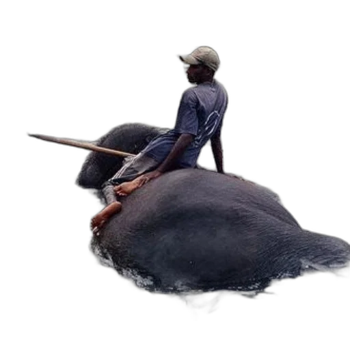 hat, umbrella, sword, weapon transparent PNG cut-out