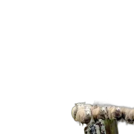 staff, sword, weapon, robot transparent PNG cut-out