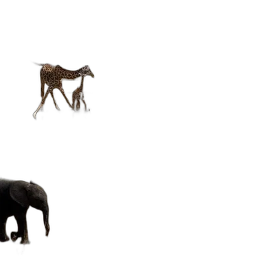 animal, creature, furniture, jewelry transparent PNG cut-out