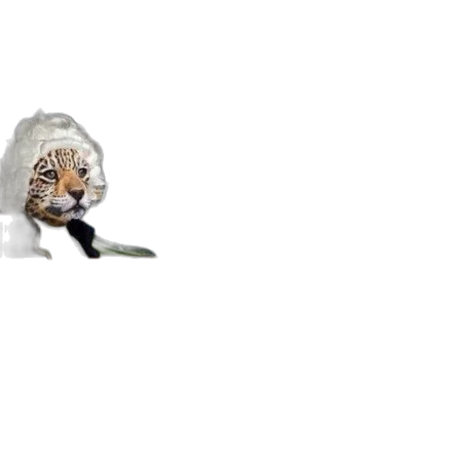 animal, creature, hair, mask transparent PNG cut-out
