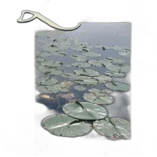 jewelry, umbrella, staff, weapon transparent PNG cut-out