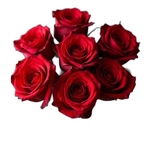 flower, crown, jewelry, photorealistic transparent PNG cut-out