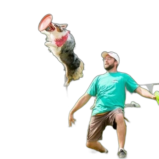 animal, hat, creature, staff transparent PNG cut-out