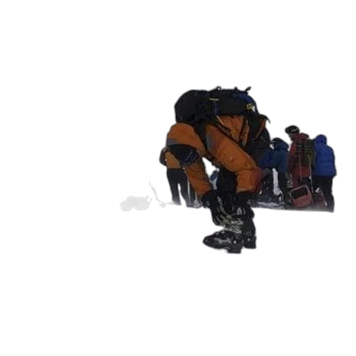 robot, jacket, staff, animal transparent PNG cut-out
