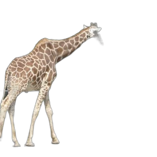 animal, creature, concept art, 3d render transparent PNG cut-out