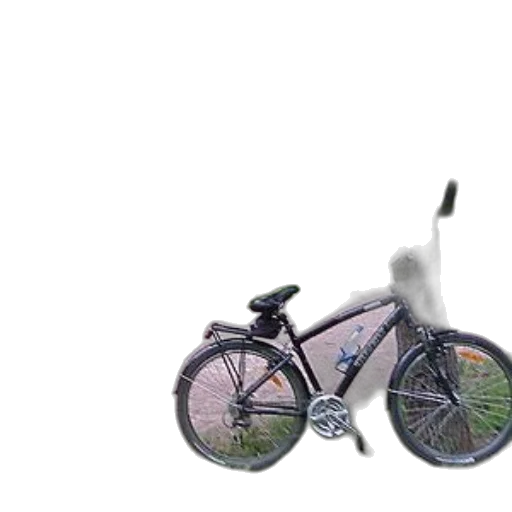 car, animal, weapon, creature transparent PNG cut-out