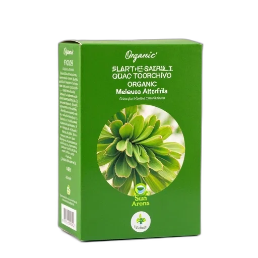 green, box, brand, name transparent PNG cut-out