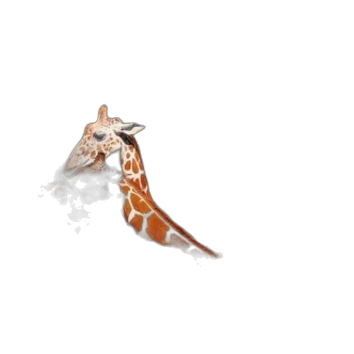 animal, dragon, jewelry, staff transparent PNG cut-out