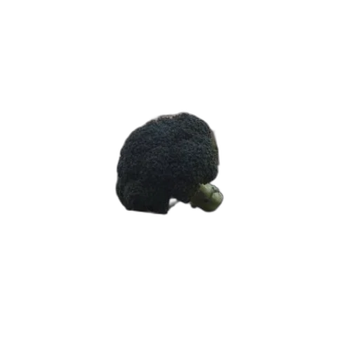 hat, hair, crown, mask transparent PNG cut-out