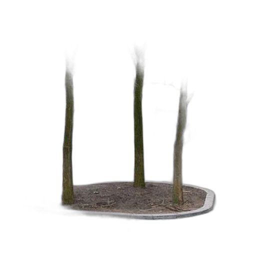 crown, hat, tree, furniture transparent PNG cut-out