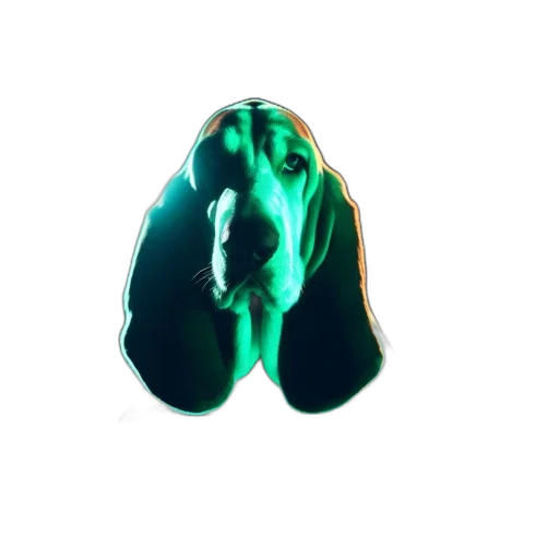 animal, creature, mask, face transparent PNG cut-out