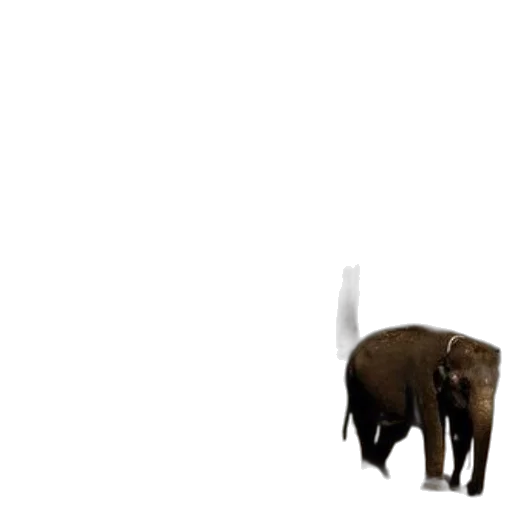 animal, creature, weapon, staff transparent PNG cut-out