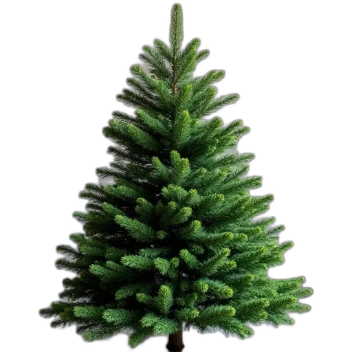 tree, crown, staff, hat transparent PNG cut-out