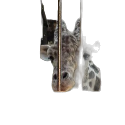 animal, staff, dragon, creature transparent PNG cut-out