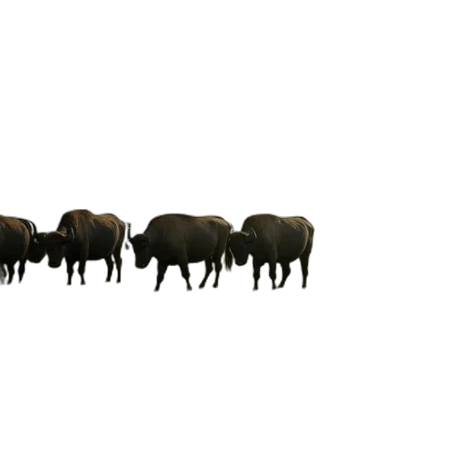 animal, staff, 3d render, concept art transparent PNG cut-out