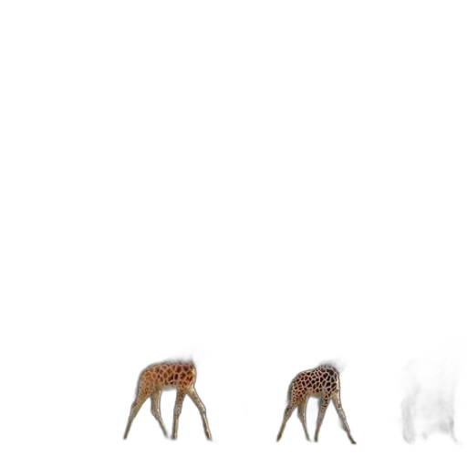animal, furniture, creature, hair transparent PNG cut-out