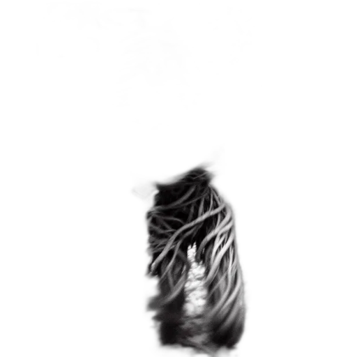 hair, dress, creature, mask transparent PNG cut-out