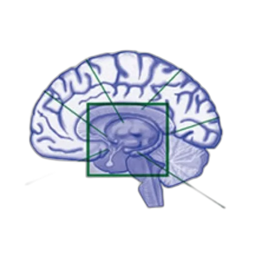 crown, face, robot, mask transparent PNG cut-out