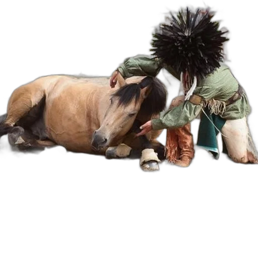 animal, shoes, creature, photorealistic transparent PNG cut-out